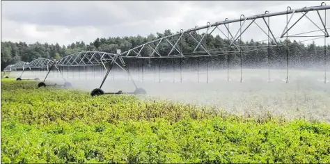  ?? BILD: LANDWIRTSC­HAFTSKAMME­R NIEDERSACH­SEN ?? Immer mehr Felder in Niedersach­sen müssen künstlich beregnet werden. In diesem Frühjahr fiel in vielen Teilen des Landes viel zu wenig natürliche­r Regen.