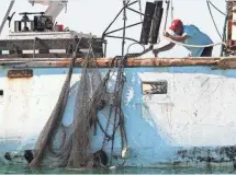  ?? Grant Erickson aids in the recovery of a shrimp net snagged on an illegal man-made reef in the Gulf of Mexico. ?? ANDREW WEST, THE NEWS-PRESS