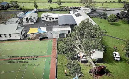  ?? KELLY HODEL/STUFF ?? A tornado uprooted a large oak tree at Orini Combined School in Waikato.