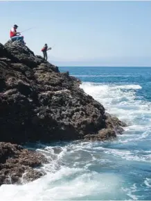  ??  ?? Là où se rencontren­t terre et mer, le fluide et le solide, la vie se crée.