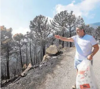  ?? // FRANCIS SILVA ?? Un afectado por el fuego de Sierra Bermeja contempla los daños