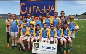  ??  ?? Culfadda NS, winners of the 4- teacher Allianz Cumann na mBunscol finals in Markievicz Park.