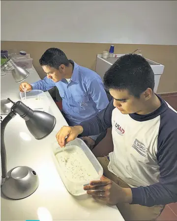  ??  ?? Jueves 19 de julio de 2018 Fuera de la capital. El primer Laboratori­o Nacional de Entomologí­a fue construido en la antigua Unidad de Salud Familiar del municipio de El Paisnal.