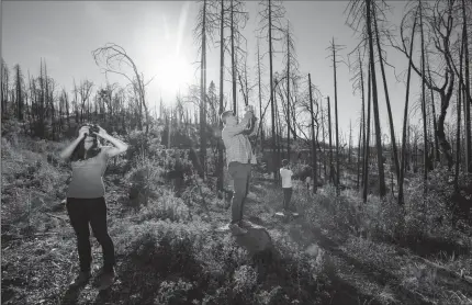  ?? MARCUS YAM/LOS ANGELES TIMES ?? Leigh Madeira, left, and Zach Knight, center, two of the founders of Blue Forest Conservati­on, take photos of an area ravaged by 2013's massive Rim fire in the Stanislaus National Forest in Groveland.
