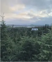  ?? KELLY DENNETT/SUNDAY STAR-TIMES ?? From left: The Fogo Island Inn – interestin­g to look at, too expensive to stay; spruce trees at Trinity; the view from a Trinity cottage.