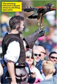  ??  ?? The amazing Falconer’s Quest show is a thrilling spectacle