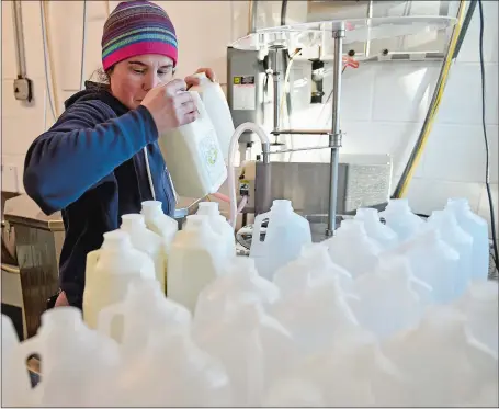  ?? SEAN D. ELLIOT/THE DAY ?? Brianne Casadei caps half-gallon containers of whole milk Monday at Terra Firma Farm Creamery in North Stonington.