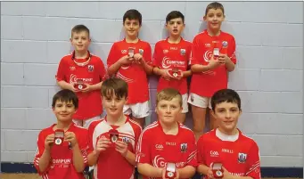  ??  ?? Cork Primary Schools Handball B Team who defeated Waterford In Munster Final. Players involved Tomas O’Connor, Diarmuid O’Connell, Ryan Linehan,Wesley Delany, Darragh Moynihan, Donal Murphy, Colin Brosnan,Jack Keating