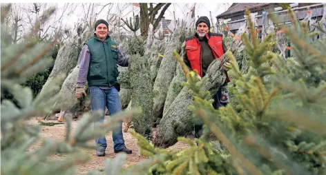  ?? FOTO: JANA BAUCH ?? Jörg Wermuth und Albert Kamerichs beim Weihnachts­baumverkau­f auf dem Halveshof in Herrath.