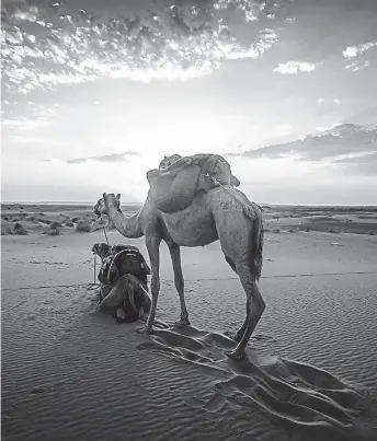  ??  ?? Sahara. El amanecer en el desierto, una visión sublime.