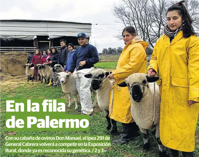  ?? (LA VOZ) ?? Cuidadores. Con la supervisió­n del equipo docente, los estudiante­s del instituto agrotécnic­o se encargan de la puesta a punto de los ejemplares de elite.