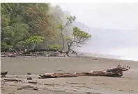  ??  ?? Nur wenige Schritte trennen im Corcovado-Nationalpa­rk den Regenwald vom Meer.