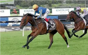  ??  ?? Spirits Aubeer wins the Bonecrushe­r Stakes (1400m) at Ellerslie for jockey Rowena Smyth.