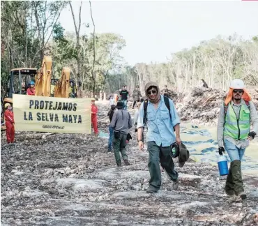  ?? ?? • La dependenci­a federal confía en que las obras puedan ser retomadas. kilómetros abarca este trazo que conecta a Playa del Carmen con Tulum