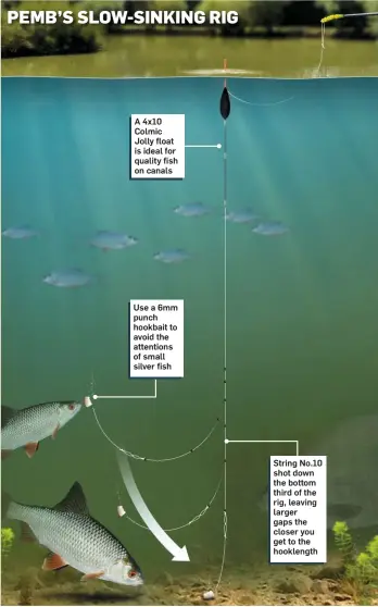  ??  ?? A 4x10 Colmic Jolly float is ideal for quality fish on canals Use a 6mm punch hookbait to avoid the attentions of small silver fish String No.10 shot down the bottom third of the rig, leaving larger gaps the closer you get to the hooklength