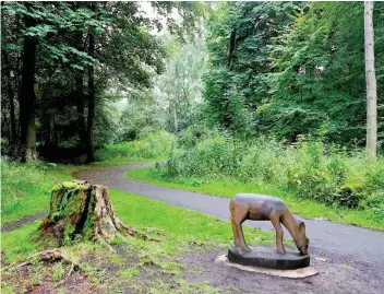  ??  ?? Fresh bid Council has revived plans for extra parking at Plean Country Park