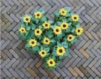  ?? Foto: Sunsations.de ?? Mit ihren runden, gelben Blüten sind Sonnenblum­en das ideale Geschenk für Mütter, die den Sommer lieben.