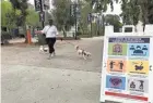  ?? DENNIS WAGNER ?? Marina Bruce, an assistant director of admissions at the University of California-San Diego, takes her dogs for a walk amid signs outlining COVID-19 precaution­s.