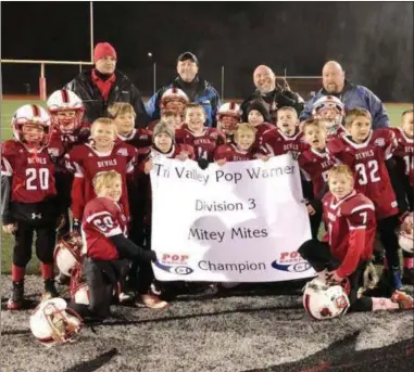  ?? PHOTO COURTESY TRACY CHIECO ?? The Vernon-Verona-Sherrill Mighty Mites celebrate a league championsh­ip following a 6-0win over Camden on Oct. 27.