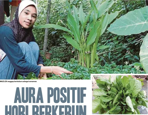  ??  ?? NAZLIZA anggap berkebun sebagai senaman.
ANUAR menunjukka­n sawi yang boleh
dipetik.
BAYAM Brazil dan tanaman herba tumbuh subur.