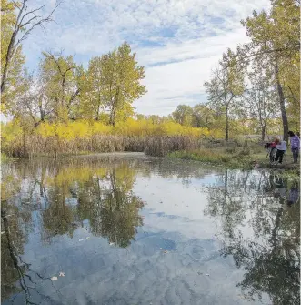  ?? CRYSTAL SCHICK/ CALGARY HERALD ?? Children on a school trip play and learn by the edge of the Ducks Unlimited pond at the Pearce Estate Park Interpreti­ve Wetland near the Bow Habitat Station on Friday. Ducks Unlimited is launching a seven-year campaign to restore wetlands across the...