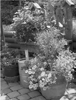  ?? Edmonton Journal/ Files ?? Now is the time to clean out all your gardening pots and store them properly, so you can reuse them come spring.