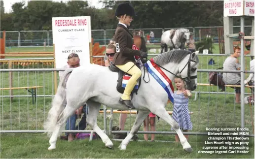  ??  ?? Moreton-in-Marsh, Glos Roaring success: Brodie Birtwell and mini M&amp;M champion Thistledow­n Lion Heart reign as pony supreme after impressing dressage legend Carl Hester