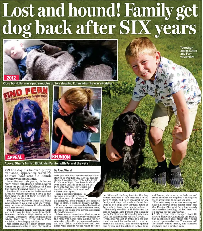  ??  ?? Together again: Ethan and Fern yesterday Close bond: Fern as a pup snuggles up to a sleeping Ethan when he was a toddler Above: Ethan’s T-shirt. Right: Mrs Ferrier with Fern at the vet’s