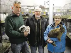  ?? BILD: FRANK JACOB ?? Freuen sich über einen starken Zusammenha­lt im Kaninchenz­uchtverein I 89 Wahnbek (von links): Theo Hackmann, Heiko Würdemann und Gerda Lewedag
