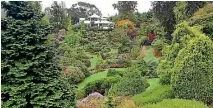  ??  ?? Muriel and Bob Davison’s 16-hectare Maple Glen garden at Glenham, looking back to the family home.