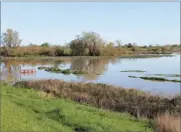  ?? COURTESY OF CALIFORNIA FARM BUREAU ?? A flood management plan by the state Department of Water Resources involves expansion of setback levees and bypasses, as well as retaining productive agricultur­e and increasing floodplain habitat, such as benefittin­g salmon on the Yolo Bypass.