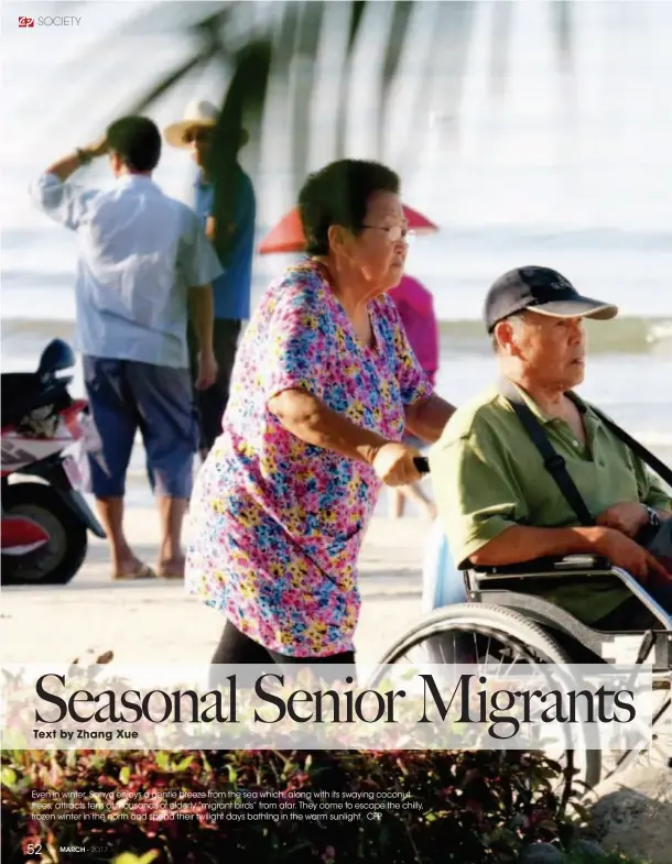  ??  ?? Even in winter, Sanya enjoys a gentle breeze from the sea which, along with its swaying coconut trees, attracts tens of thousands of elderly “migrant birds” from afar. They come to escape the chilly, frozen winter in the north and spend their twilight...