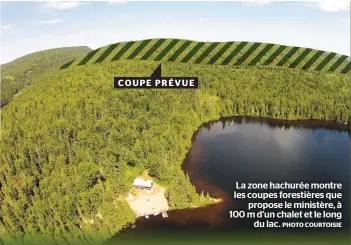  ?? PHOTO COURTOISIE ?? La zone hachurée montre les coupes forestière­s que propose le ministère, à 100 m d’un chalet et le long du lac.