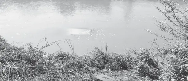  ?? FOTO. MARCO MILLÁN ?? > El capacete del carro apenas era visible en el agua y en la orilla quedó una toalla con la que la pareja se secó.