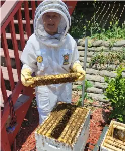  ?? ?? Charlene Potter in Los Angeles has 40 colonies. “We need to save the bees to save ourselves”