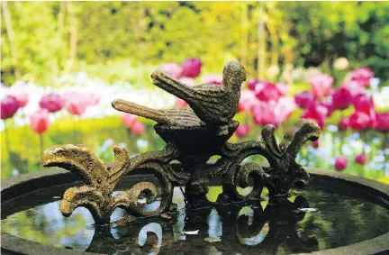  ?? DEAN FOSDICK/THE ASSOCIATED PRESS ?? An antique bird bath focuses attention on an array of blooming bulbs.