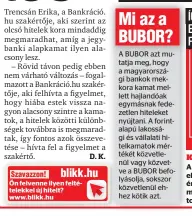  ??  ?? Kisebb BUBOR, kisebb kamat
A felső ábra mutatja, miként alakult az elmúlt tíz évben az úgynevezet­t BUBOR értéke. Alul pedig az látszik, hogy hatott mindez az utóbbi négy évben a kamatokra, illetve a törlesztés­ekre