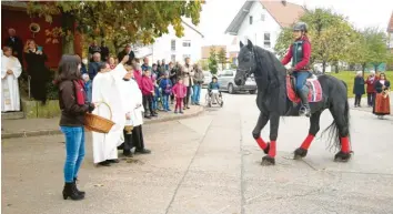  ??  ?? Rund 150 Besucher verfolgten in Echlishaus­en, wie Pater Joseph Pazhayatti­l vor der Kirche nacheinand­er Ross und Reiter feierlich den kirchliche­n Segen erteilte.