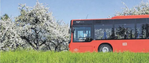  ?? ARCHIVFOTO: BERND HASENFRATZ ?? Die Testphase mit einem Busverkehr in den Sommerferi­en des vergangene­n Jahres hat sich nach Angaben der Stadtverwa­ltung nicht bewährt.