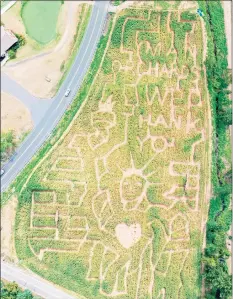  ?? Lyman Orchards / Contribute­d photo ?? The “Thank You Our Heroes” Corn Maze at Lyman Orchards, 32 Reeds Gap Road in Middlefiel­d, runs through Nov. 1.