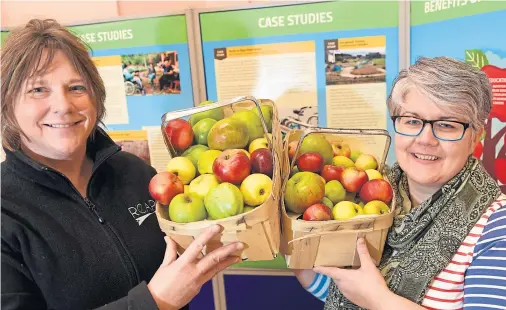  ?? Photograph by Sandy McCook ?? DRIVE: Dorothy Allan and Emma Gordon at the town hall where food-growing strategies were shared.