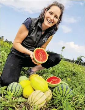  ?? BILD: SN/STEFANIE SCHENKER ?? Monika Reiter mit frisch geernteten Melonen.