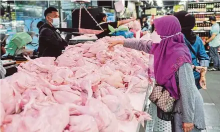  ?? (Foto hiasan) ?? Pengimport­an ayam bertujuan menstabilk­an keperluan bekalan ayam negara.