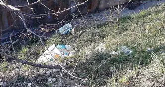  ??  ?? Gesti incivili Alcuni dei rifiuti abbandonat­i lungo il corso del torrente Caravello in pieno centro storico