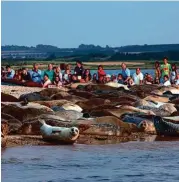  ??  ?? This seaside wilderness on the UK’s east coast has seals, quaint towns such as Wells-Next-TheSea (left and above) and big open skies