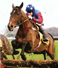 Image result for paisley park horse