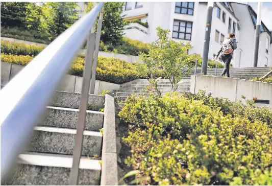  ?? FOTO: TEPH ?? Die „Chinesisch­e Treppe“, die vom Königshof zum Lavalplatz führt, wäre ein idealer Platz für die „essbare Stadt“. Das Grün könnte nach dem Motto „Pflücken erwünscht!“genutzt werden.