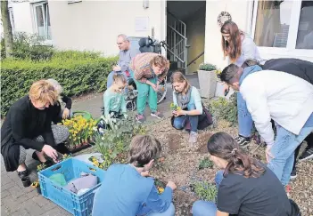  ??  ?? Frühlingsb­lüher für den Vorgarten. Sieben jungen Leute überbracht­en Blumengrüß­e.
Foto: PR