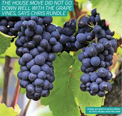  ??  ?? Grapes are great in savory dishes, as Chris’ recipes show this week