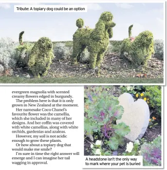  ??  ?? Tribute: A topiary dog could be an option A headstone isn’t the only way to mark where your pet is buried